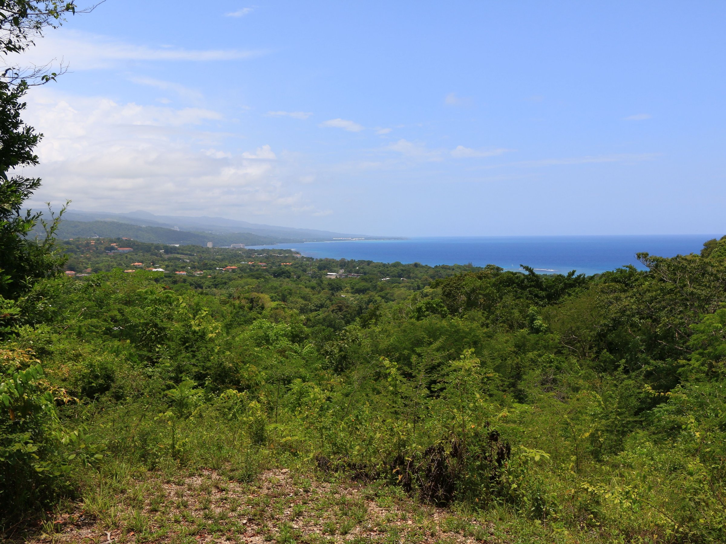 Nexus Tours (Montego Bay) - All You Need to Know BEFORE You Go