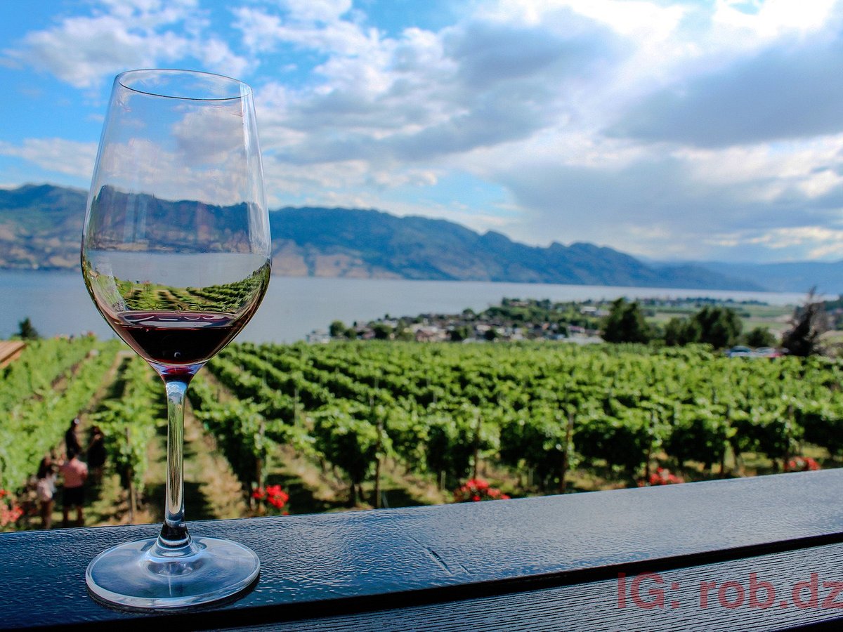red dog wine tours reviews