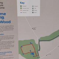 RSPB SWELL WOOD NATURE RESERVE (Taunton) - All You Need to Know BEFORE ...