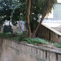 C’est une très vieille fontaine que les bastiais nomment « E tre funtane »