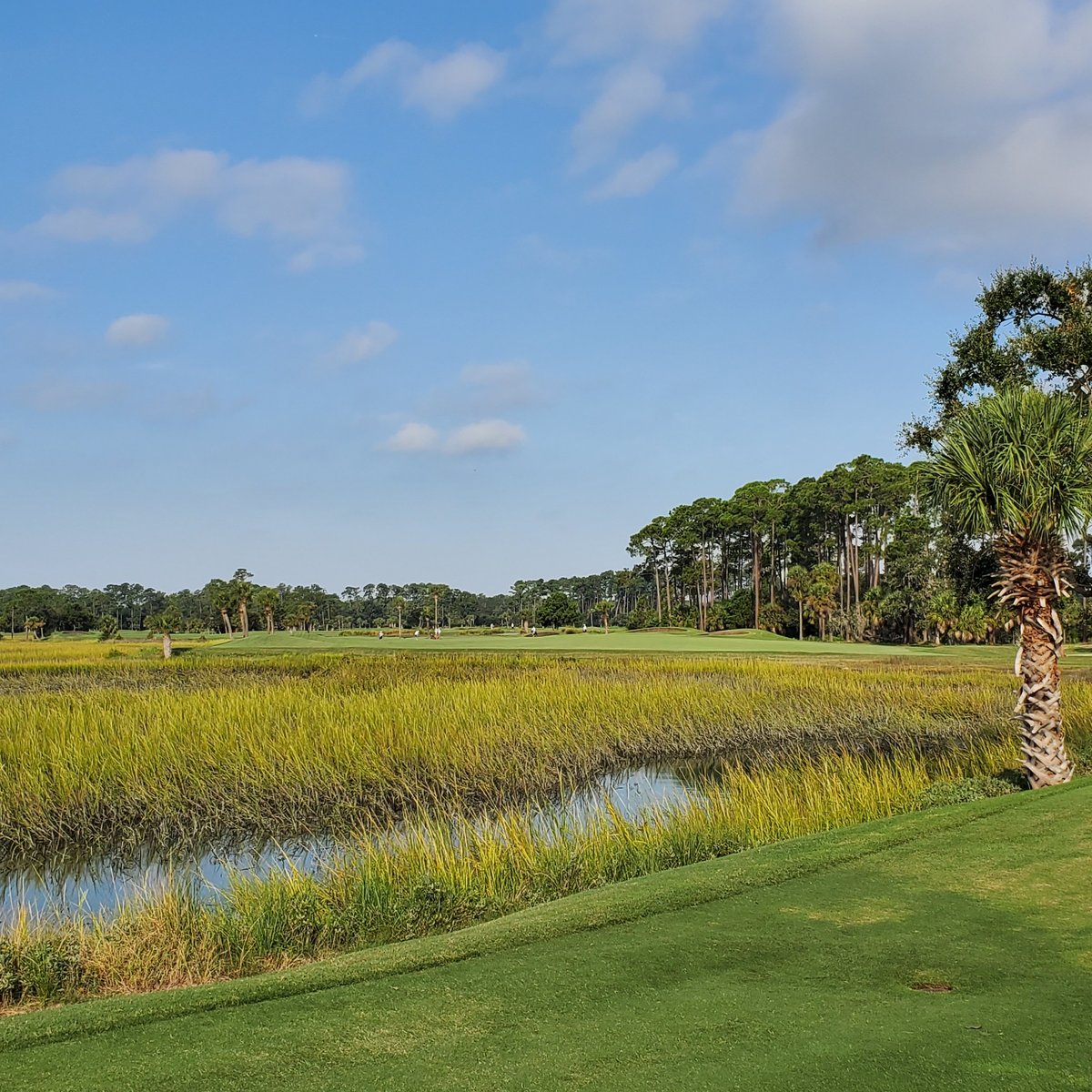 Secession Golf Course (Beaufort) All You Need to Know BEFORE You Go