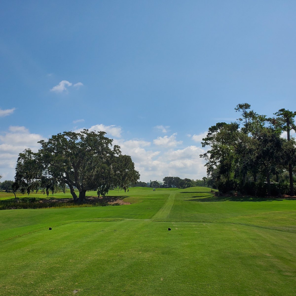 Secession Golf Course (Beaufort) All You Need to Know BEFORE You Go