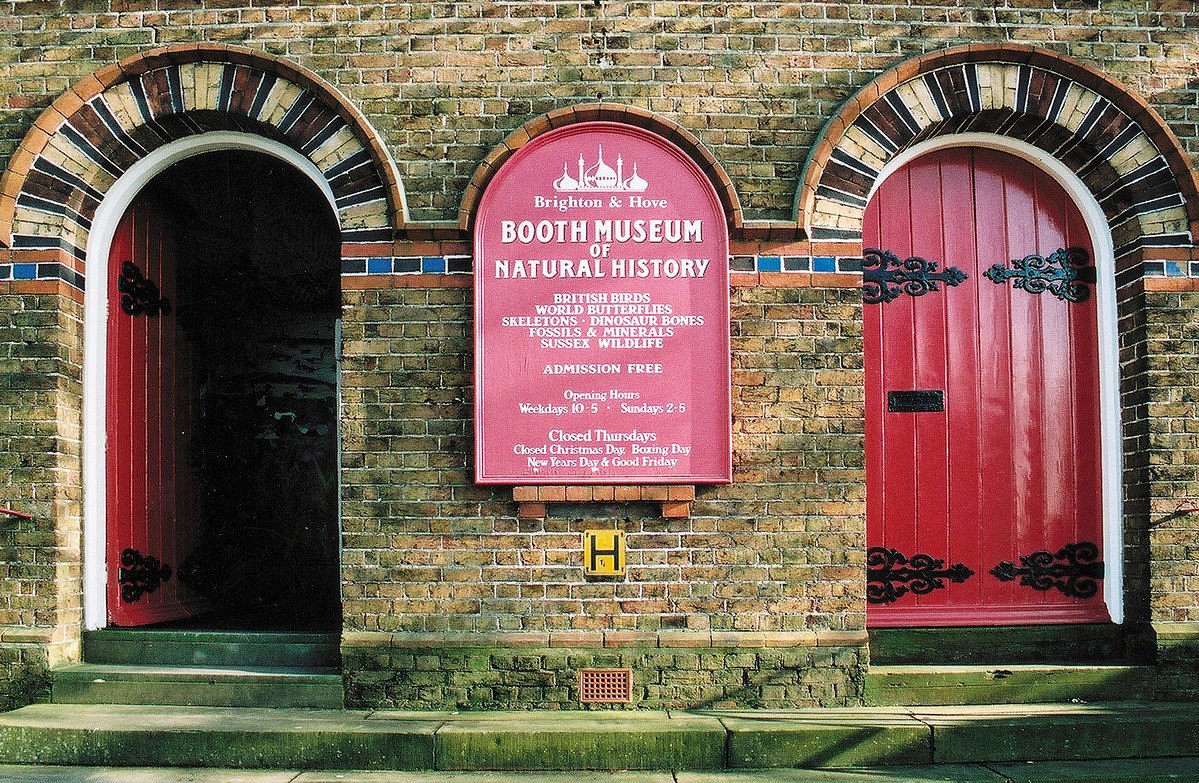 booth-museum-of-natural-history-brighton-ce-qu-il-faut-savoir