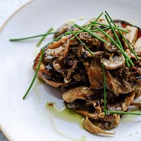 Pan Fried Mushrooms Fricasé, Truffle Shavings on sourdough toast