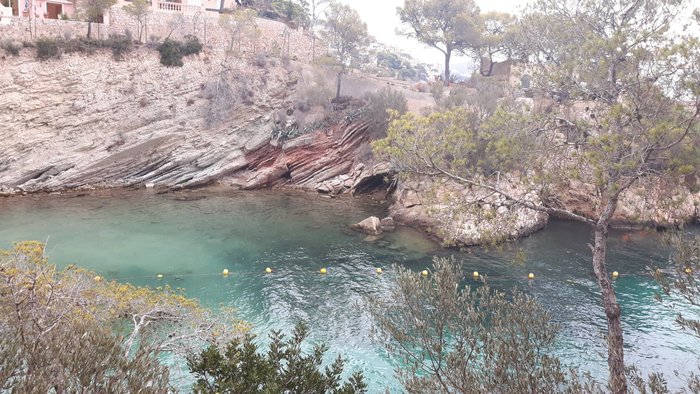 Imagen 2 de Cala Fornells