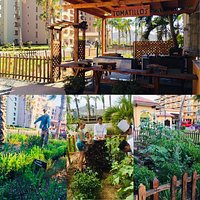 Tomatillos Restaurant
"Farm to table".