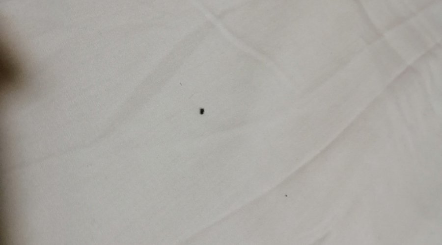 Camas sujas, lençóis por sujidade e cabelos…. NOJENTO