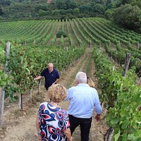 Tour in Vigna tra i monti Irpini