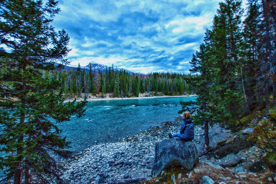 Wapiti Campground Updated 2021 Reviews Jasper Alberta Tripadvisor