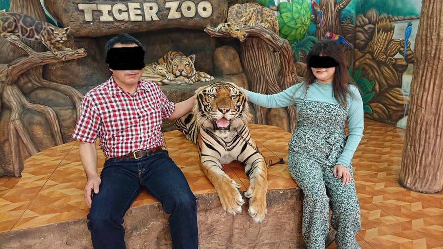 自分たち個人で行ったので１番目で少しトラから離れているのは写真では分からないけど隣でトラが「グルルル～」とうなっているので少し怖かったです。この後日本のツアー団体が来てみんなトラと抱きつき写真を撮っていたので今度行ったら抱きついて写真を撮りたいと思いました。（日本の某サファリパークでこの体験はできませんよ）