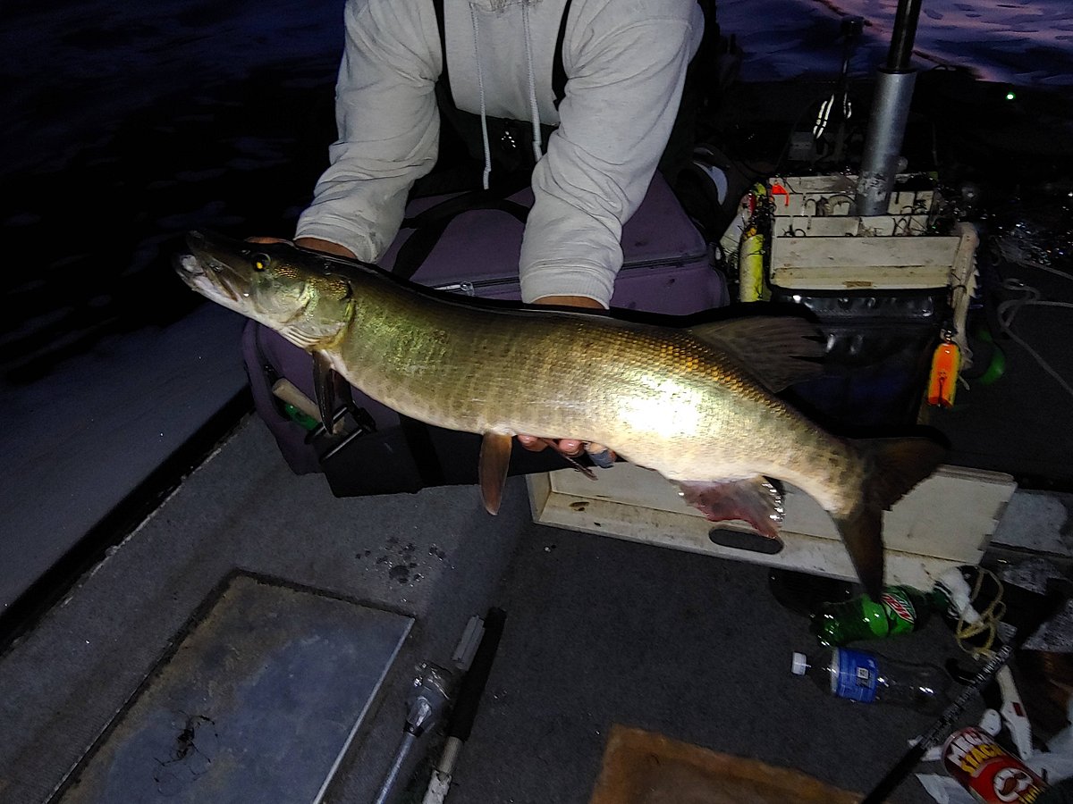 Muskie madness