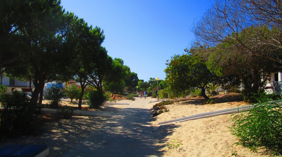 Il lungo viale che porta dal molo alla spiaggia