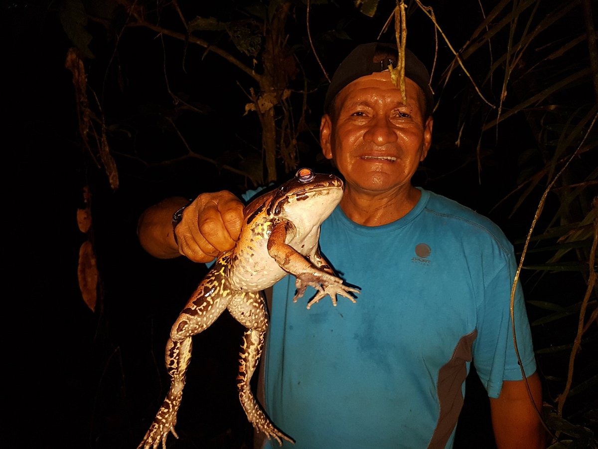 peru ayahuasca tourism