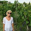 best montepulciano wineries to visit ChrisH3040