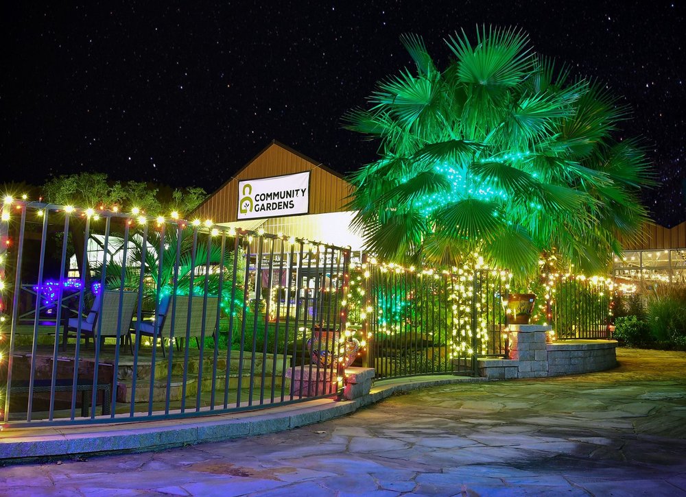 THE 15 BEST Things to Do in Bastrop (2025) MustSee Attractions