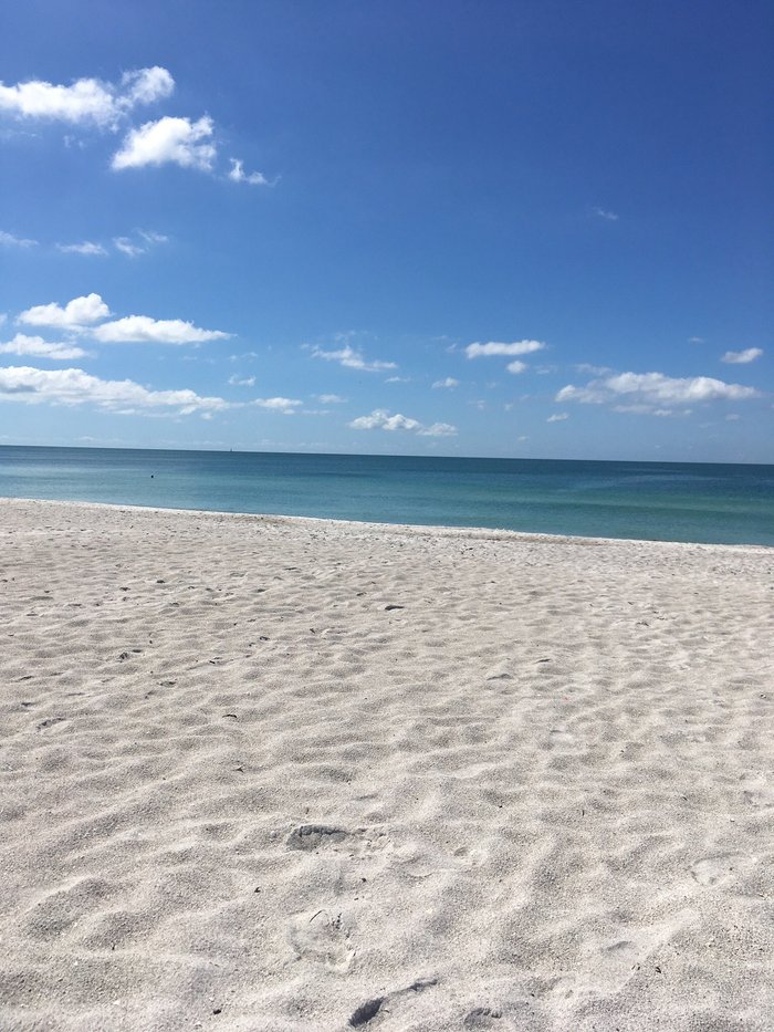 FOUR WINDS BEACH RESORT - Prices & Lodging Reviews (Longboat Key, FL)