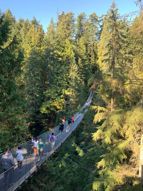 CAPILANO RIVER RV PARK Bewertungen & Fotos (West Vancouver, Kanada) Tripadvisor