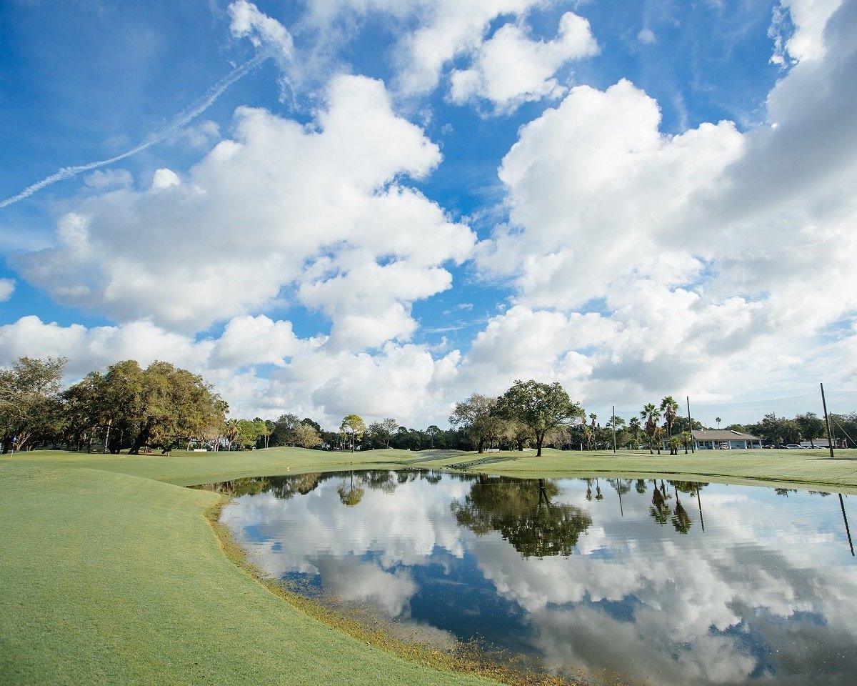 Twin Brooks Golf Course (St. Petersburg) All You Need to Know BEFORE