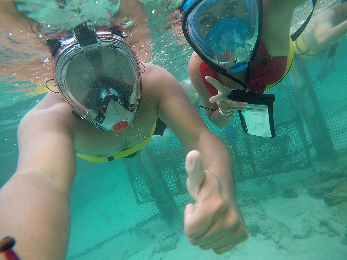 marinarium snorkeling cruise punta cana