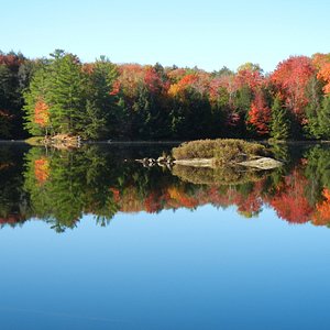 algonquin park driving tour