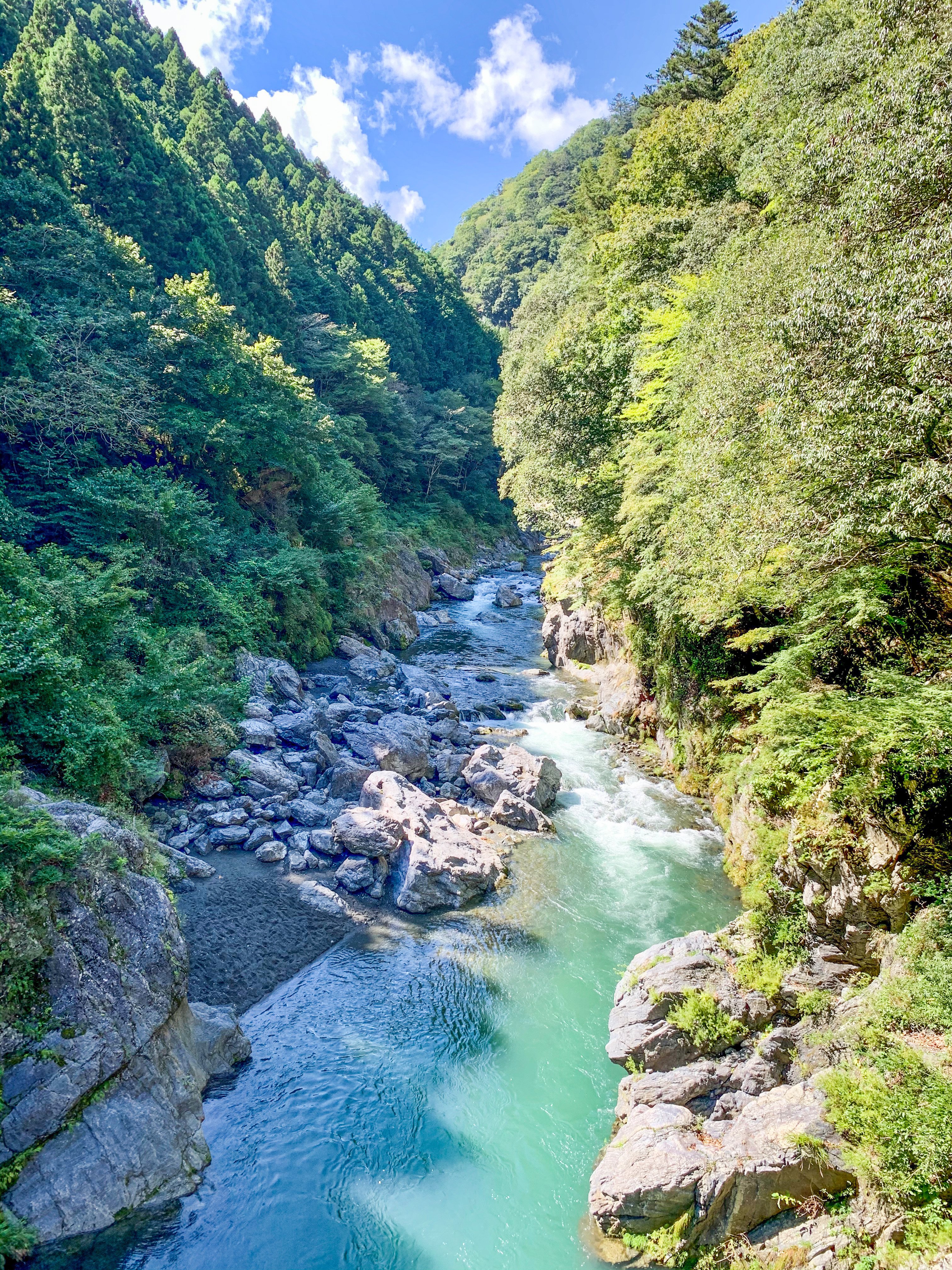 日帰りで楽しむ鳩ノ巣渓谷と奥多摩の自然散策