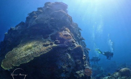 Barat Dive Centre