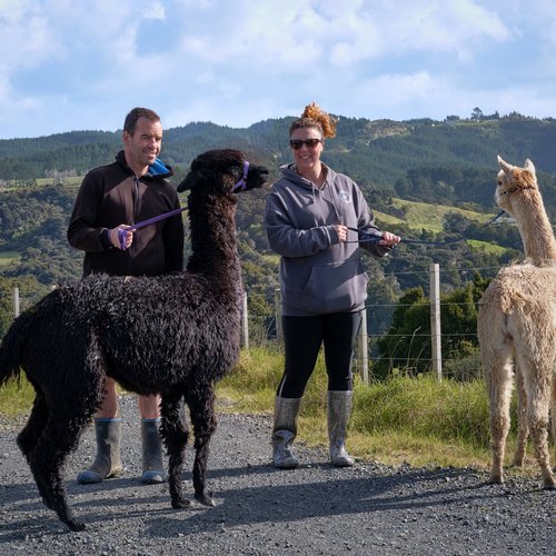 Kandiah Alpacas & Farmstay