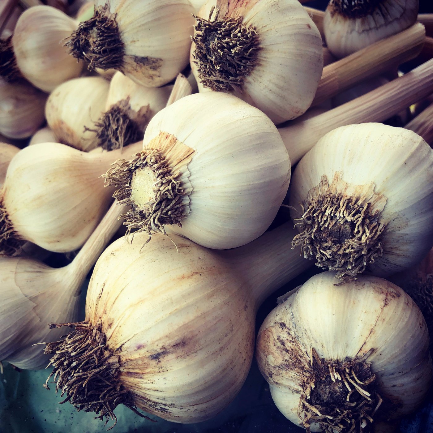 BOTTEGA AGRICOLA IL FILO DI PAGLIA, Alassio - Restaurant Reviews, Photos & Phone Number - Tripadvisor