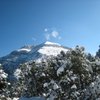 Kostas L