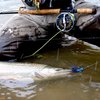 Steelhead Alley Outfitters