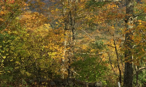 Green mountain VT
