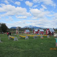 Play area