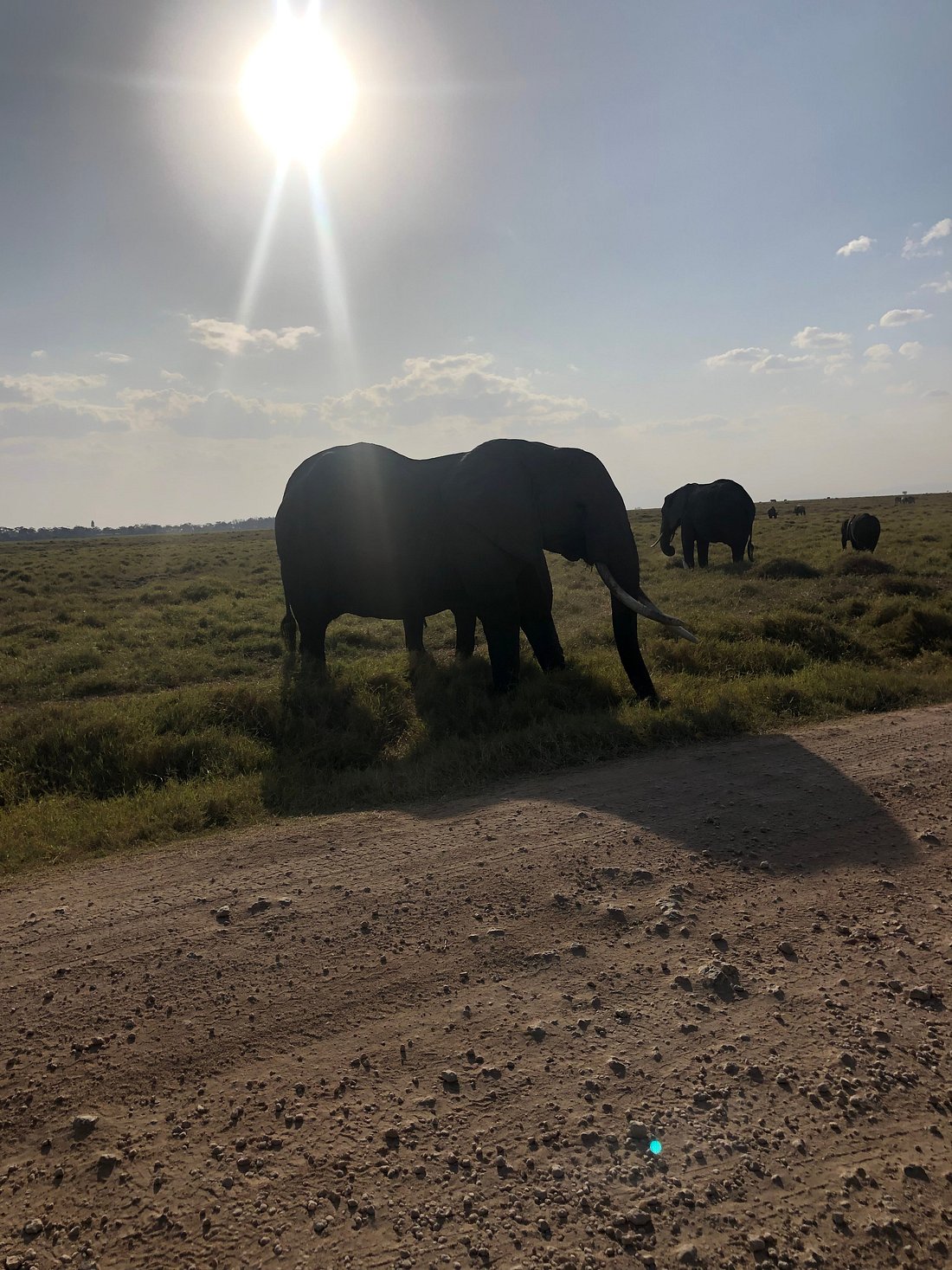 kilima safari camp amboseli kenia
