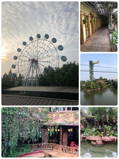 Foshan review images
