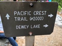 Tipsoo Lake Loop (Mount Rainier National Park): All You Need to Know