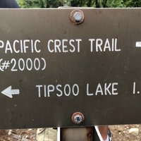 Tipsoo Lake Loop (Mount Rainier National Park): All You Need to Know