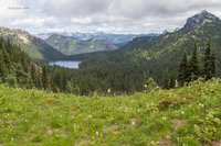 Tipsoo Lake Loop (Mount Rainier National Park): All You Need to Know