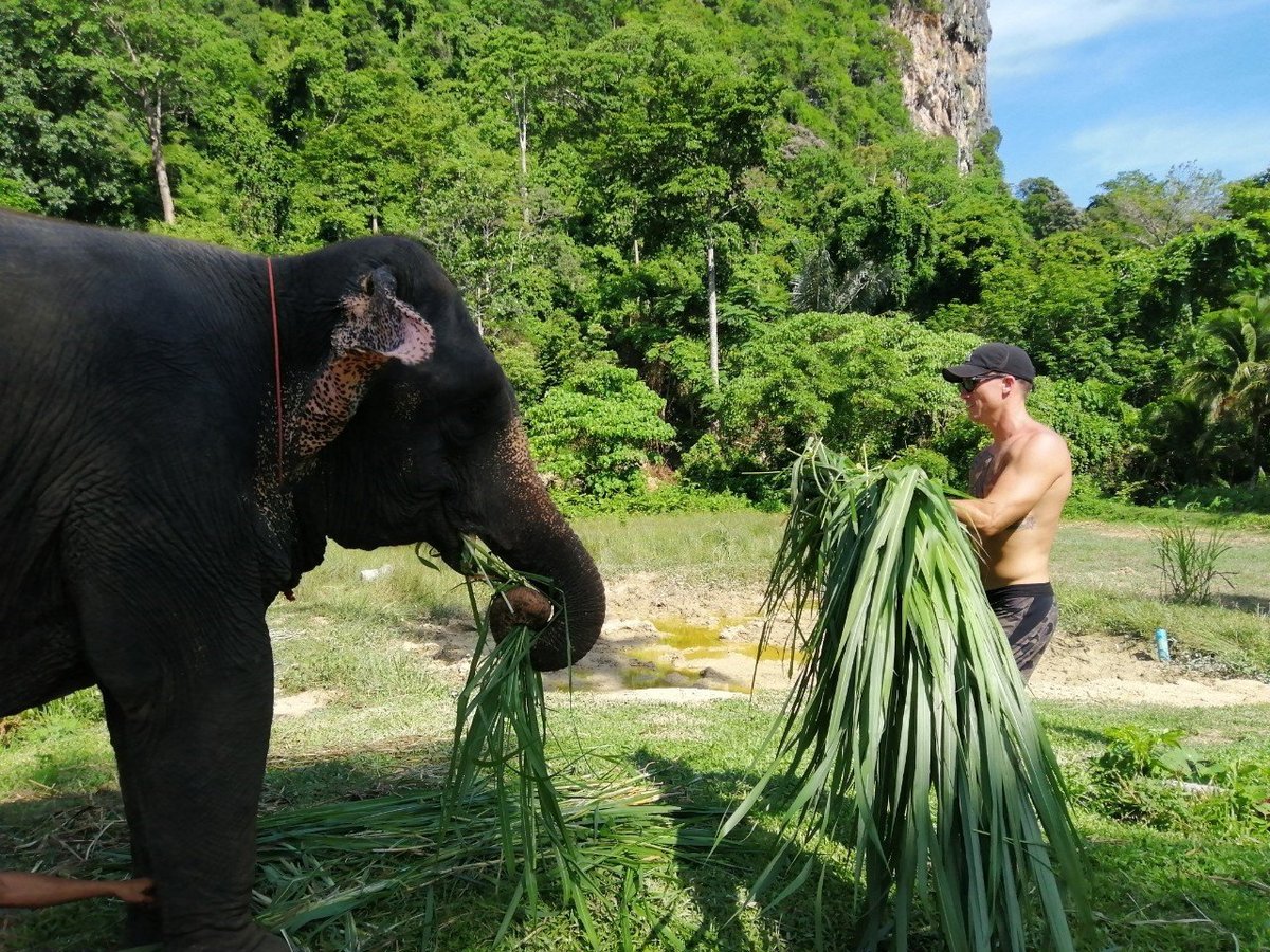 Aonang Elephant Sanctuary, Ао Нанг: лучшие советы перед посещением -  Tripadvisor