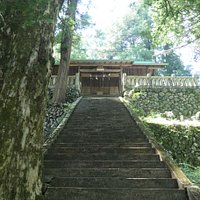 杉と背後に鎮座する社殿や木々から出てくる雰囲気がとても神秘的でした。