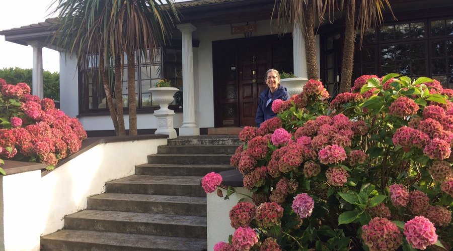 Flowers in full bloom in the quiet front yard