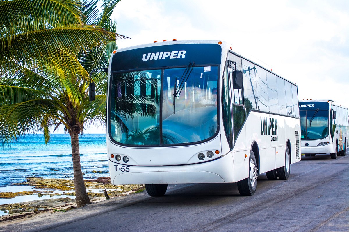 UNIPER Cozumel - All You Need to Know BEFORE You Go