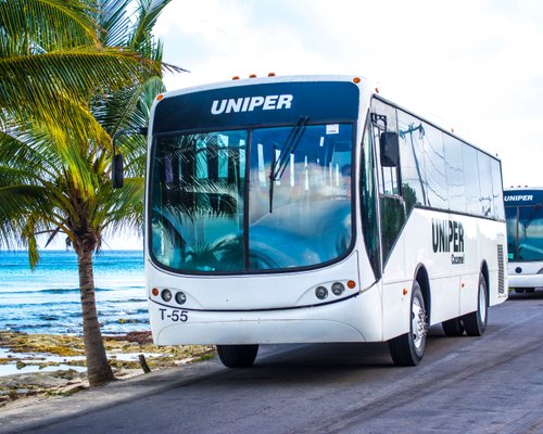 THE BEST Cozumel Bus Transportation (Updated 2023) - Tripadvisor