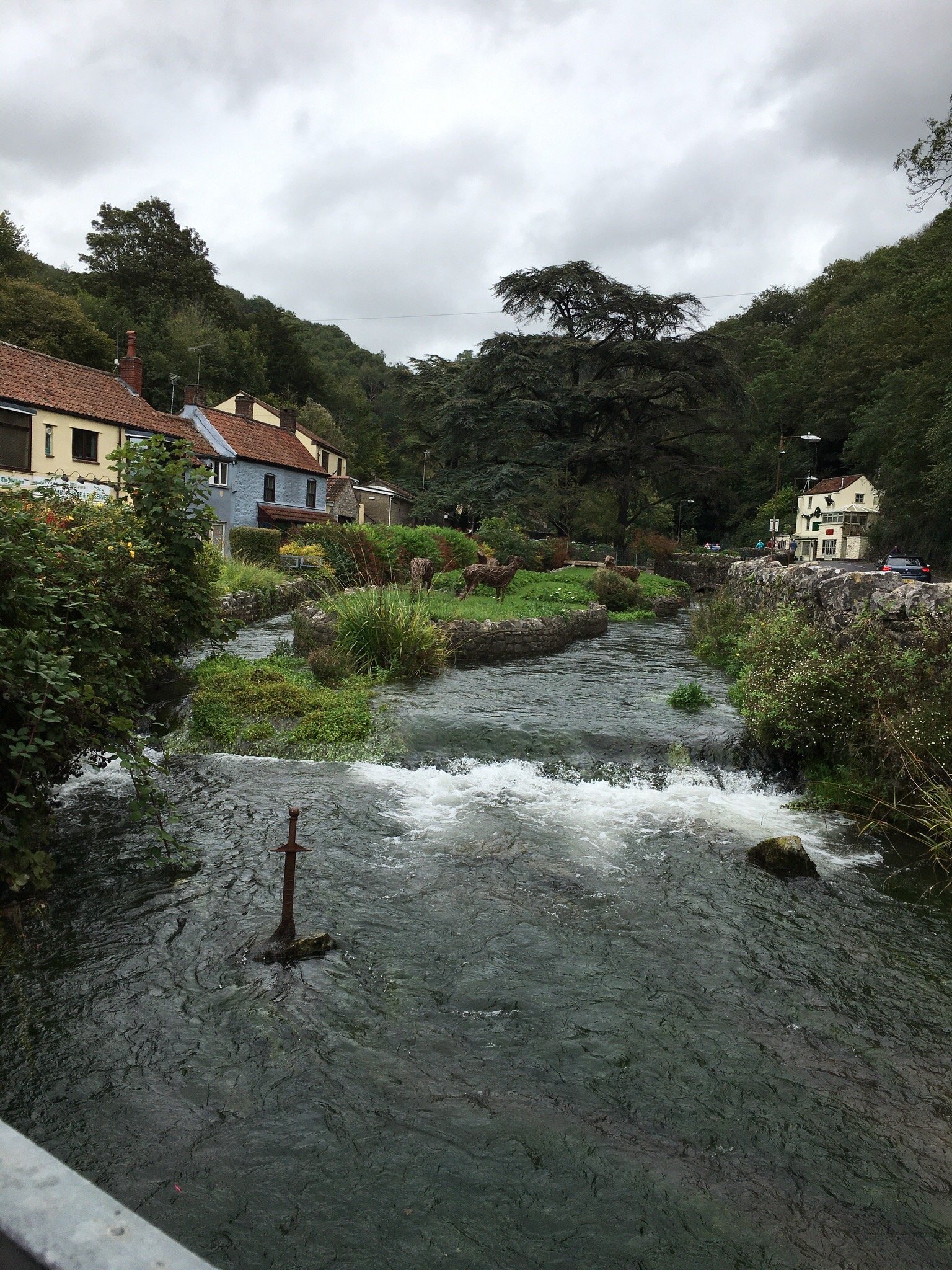 Cheddar Caravan and Motorhome Club Campsite - 6