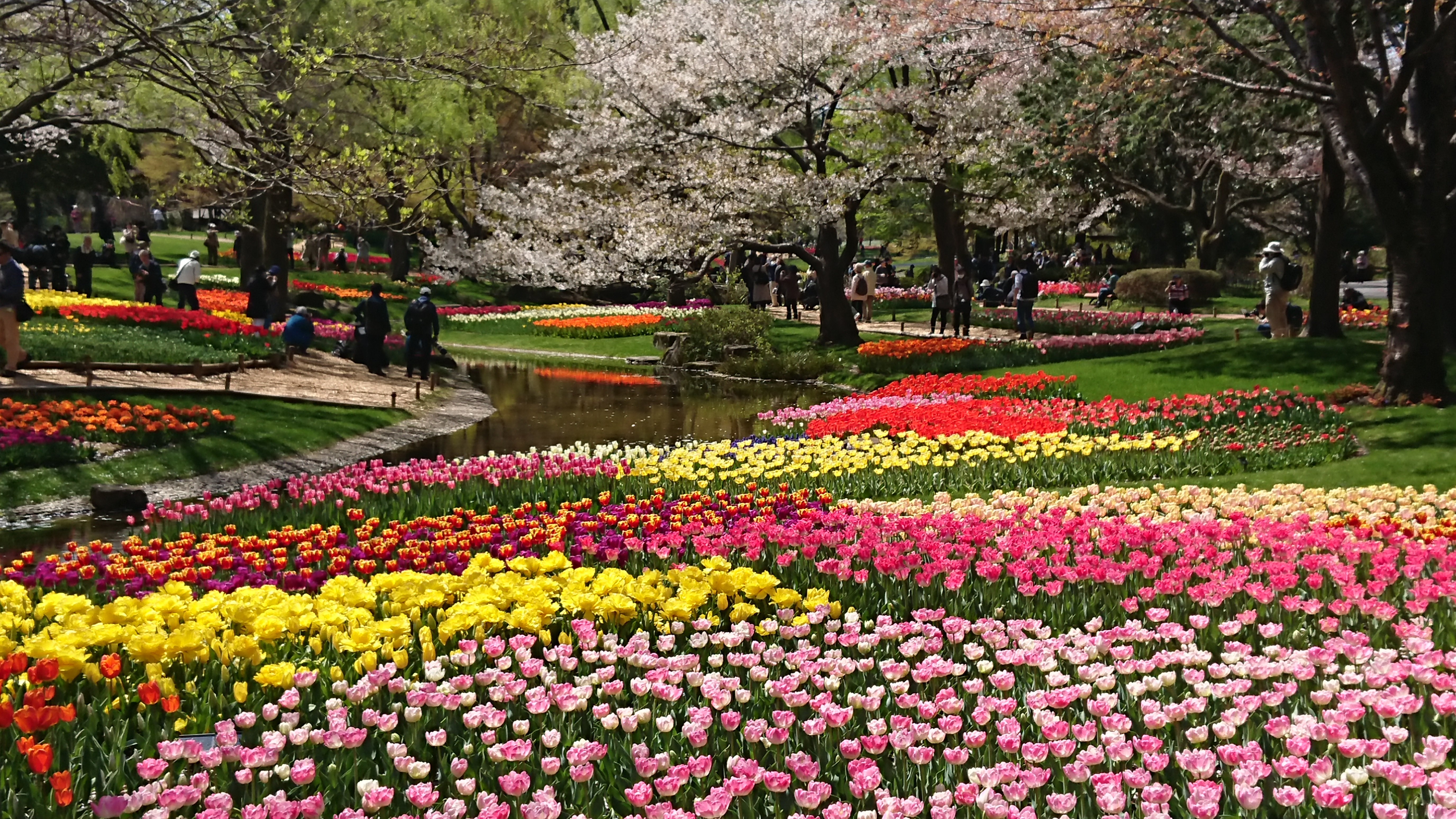 2025年 国営昭和記念公園 - 出発前に知っておくべきことすべて 2025年 国営昭和記念公園 - 出発前に知っておくべきことすべて