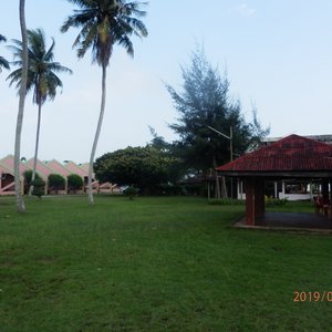 Bungalows en rose (à gauche de la photo) plus récents mais ne voyant pas la mer.Abri BBQ (à droite de la photo).