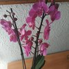 SeveinG74