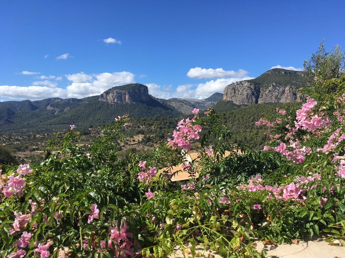 Imagen 6 de Bodega Castell Miquel