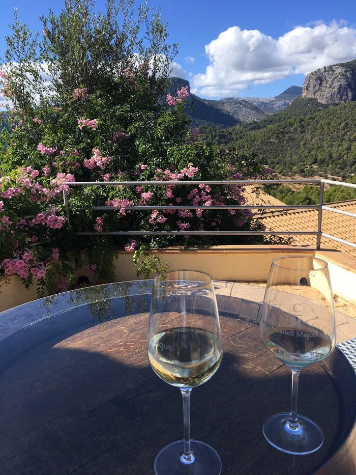 Imagen 5 de Bodega Castell Miquel