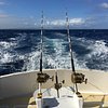The lure that made it all happen.. - Picture of Horizon Fishing, Mauritius  - Tripadvisor
