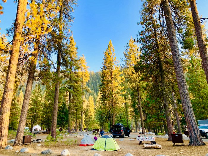 lodgepole-campground-2022-reviews-sequoia-and-kings-canyon-national